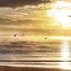 Sea Smoke Sunrise from Strand