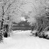 Snow Golf Club Road