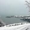 Snow Harbour 1